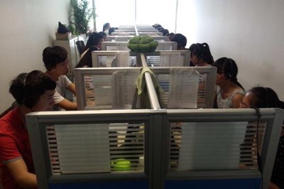 北京点线面市场调查 专业市场调查服务的深度解析